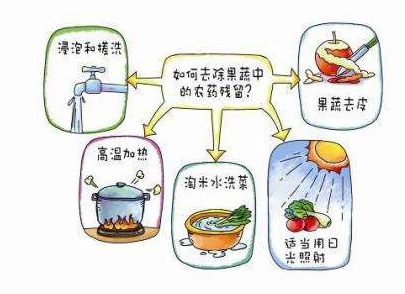 如何減少農藥污染去除農藥殘留？振華化工總結以下幾點分享給大家
